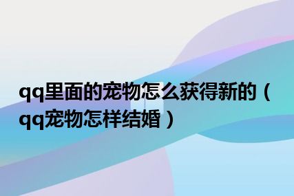 qq里面的宠物怎么获得新的（qq宠物怎样结婚）