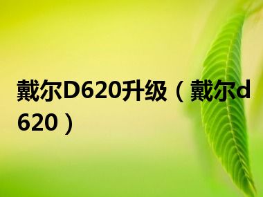 戴尔D620升级（戴尔d620）