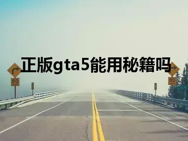 正版gta5能用秘籍吗