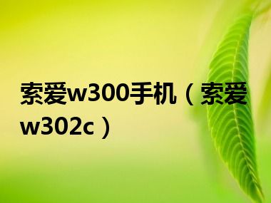 索爱w300手机（索爱w302c）