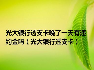 光大银行透支卡晚了一天有违约金吗（光大银行透支卡）