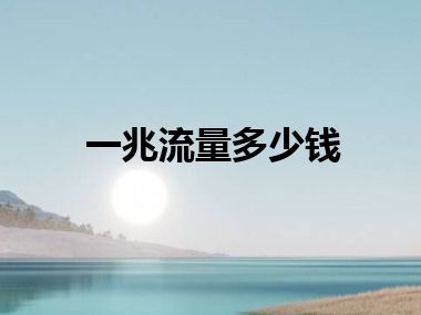 一兆流量多少钱