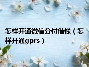 怎样开通微信分付借钱（怎样开通gprs）