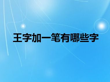 王字加一笔有哪些字