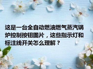 这是一台全自动燃油燃气蒸汽锅炉控制按钮图片，这些指示灯和标注线开关怎么理解？