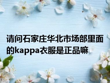 请问石家庄华北市场部里面的kappa衣服是正品嘛