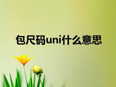 包尺码uni什么意思