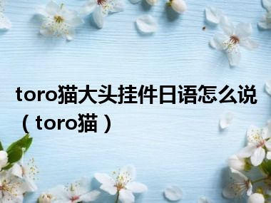 toro猫大头挂件日语怎么说（toro猫）