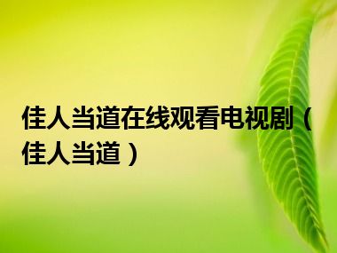 佳人当道在线观看电视剧（佳人当道）