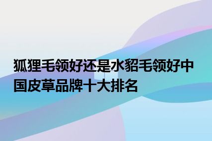 狐狸毛领好还是水貂毛领好中国皮草品牌十大排名