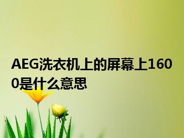 AEG洗衣机上的屏幕上1600是什么意思