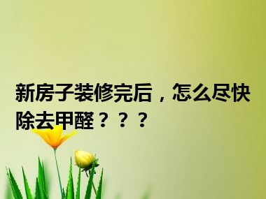 新房子装修完后，怎么尽快除去甲醛？？？