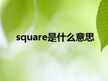 square是什么意思