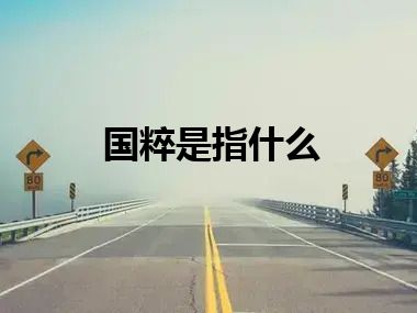 国粹是指什么