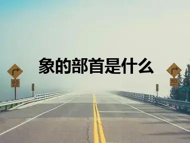 象的部首是什么