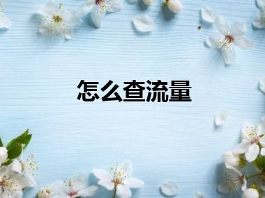 怎么查流量