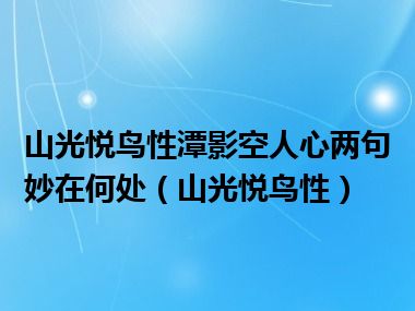 山光悦鸟性潭影空人心两句妙在何处（山光悦鸟性）