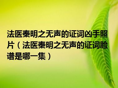 法医秦明之无声的证词凶手照片（法医秦明之无声的证词脸谱是哪一集）