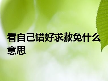 看自己错好求赦免什么意思