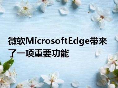 微软MicrosoftEdge带来了一项重要功能