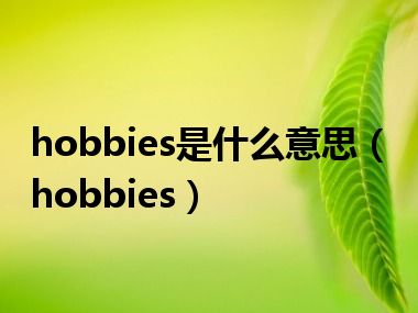 hobbies是什么意思（hobbies）