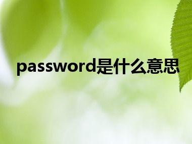 password是什么意思