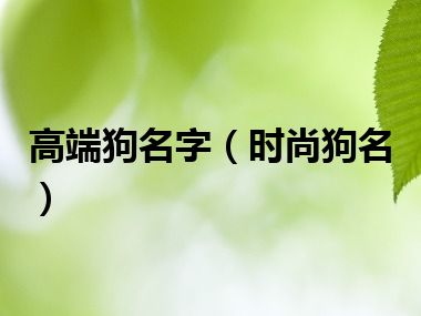 高端狗名字（时尚狗名）