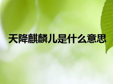 天降麒麟儿是什么意思