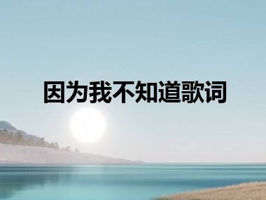 因为我不知道歌词