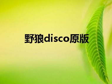 野狼disco原版