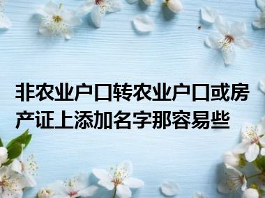 非农业户口转农业户口或房产证上添加名字那容易些