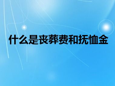 什么是丧葬费和抚恤金