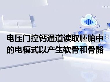 电压门控钙通道读取胚胎中的电模式以产生软骨和骨骼