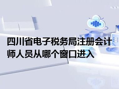 四川省电子税务局注册会计师人员从哪个窗口进入