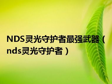 NDS灵光守护者最强武器（nds灵光守护者）