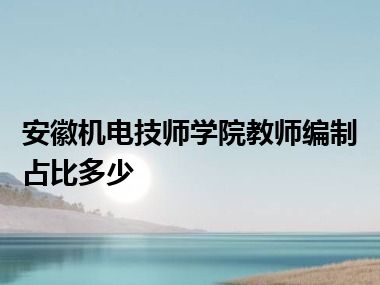 安徽机电技师学院教师编制占比多少