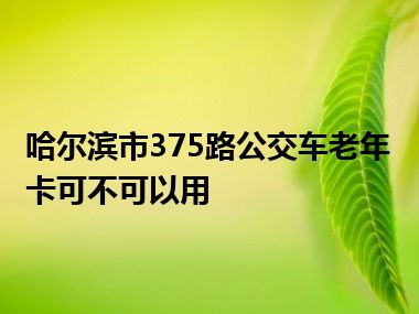 哈尔滨市375路公交车老年卡可不可以用