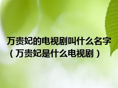 万贵妃的电视剧叫什么名字（万贵妃是什么电视剧）