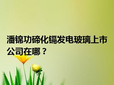 潘锦功碲化镉发电玻璃上市公司在哪？