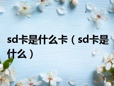 sd卡是什么卡（sd卡是什么）