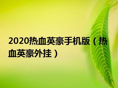 2020热血英豪手机版（热血英豪外挂）