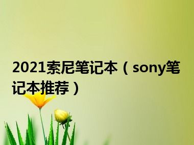 2021索尼笔记本（sony笔记本推荐）