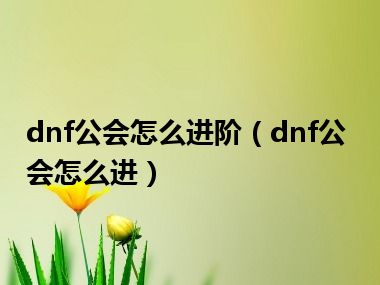 dnf公会怎么进阶（dnf公会怎么进）