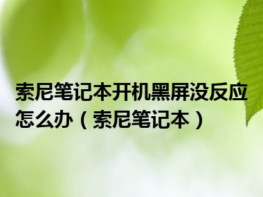 索尼笔记本开机黑屏没反应怎么办（索尼笔记本）