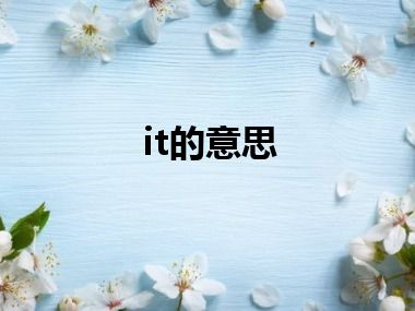 it的意思