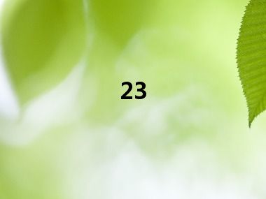 23