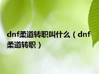 dnf柔道转职叫什么（dnf柔道转职）