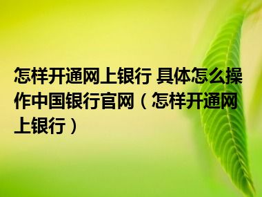 怎样开通网上银行 具体怎么操作中国银行官网（怎样开通网上银行）