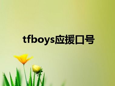 tfboys应援口号