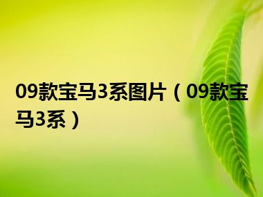 09款宝马3系图片（09款宝马3系）